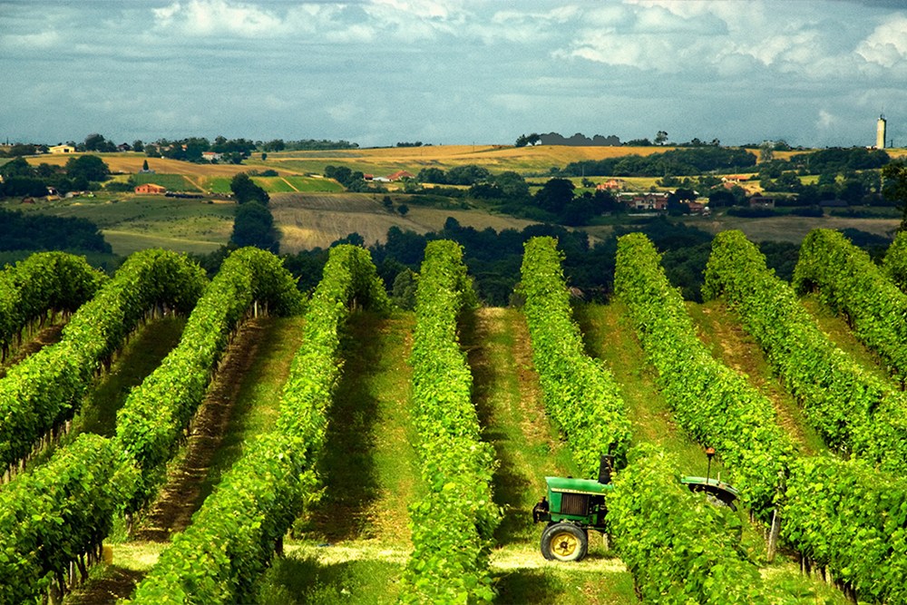 Tour of Gascony France