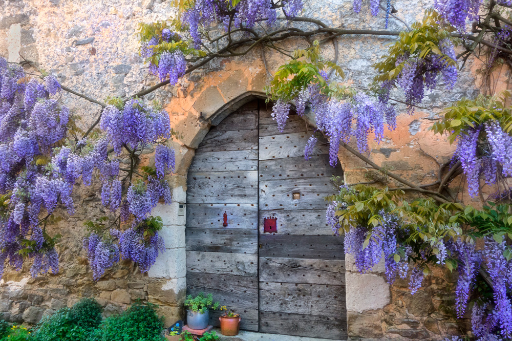 Circle of Compassion