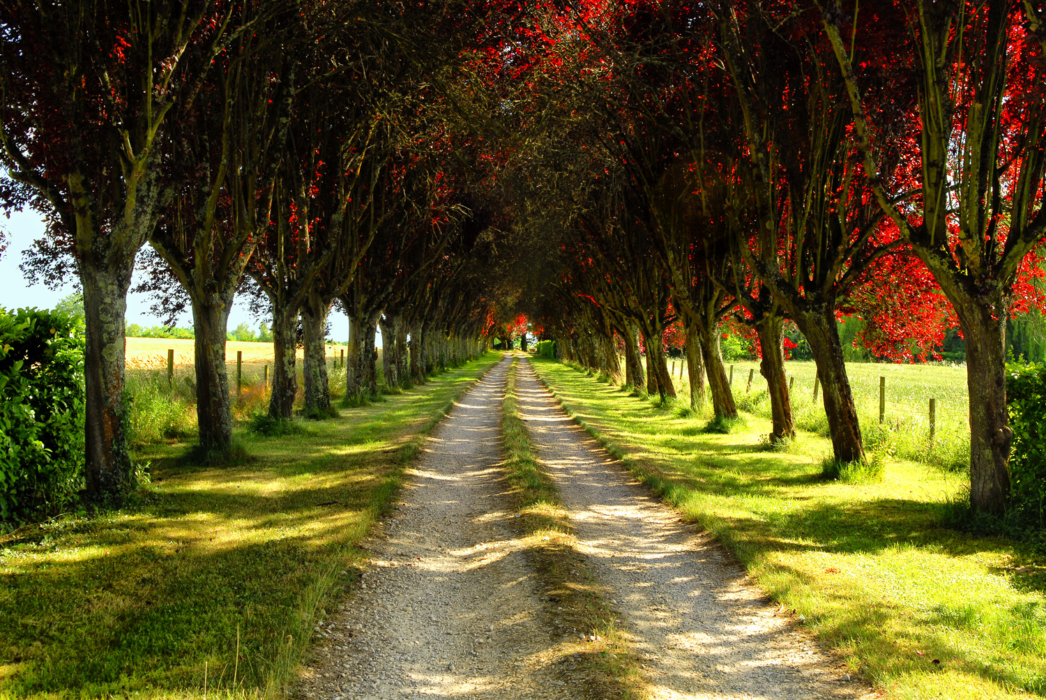 Appreciation of opposites