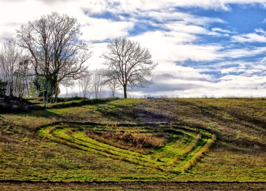 Heart in the Pasture