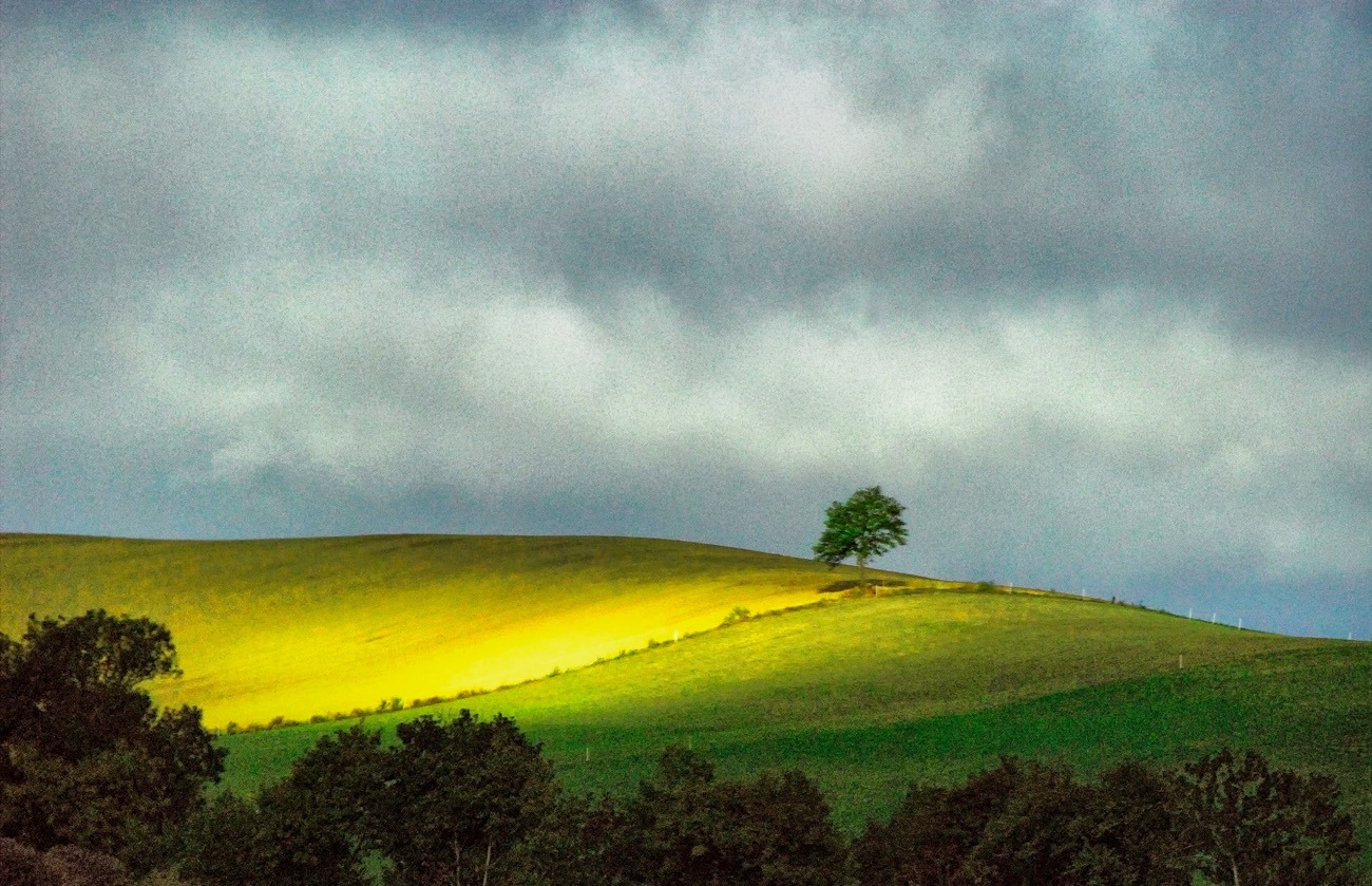 A New Year’s Blessing