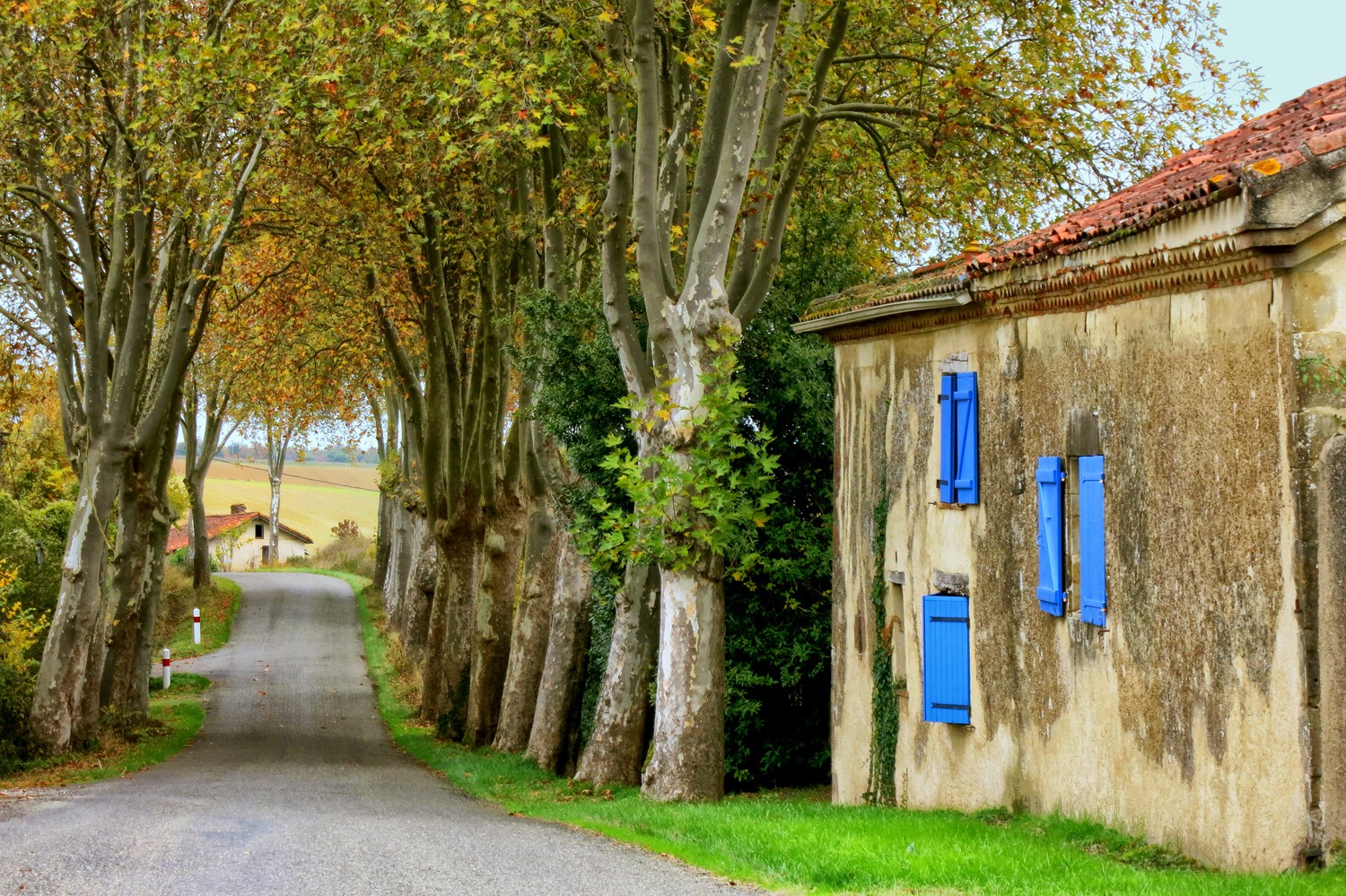 The Other South of France