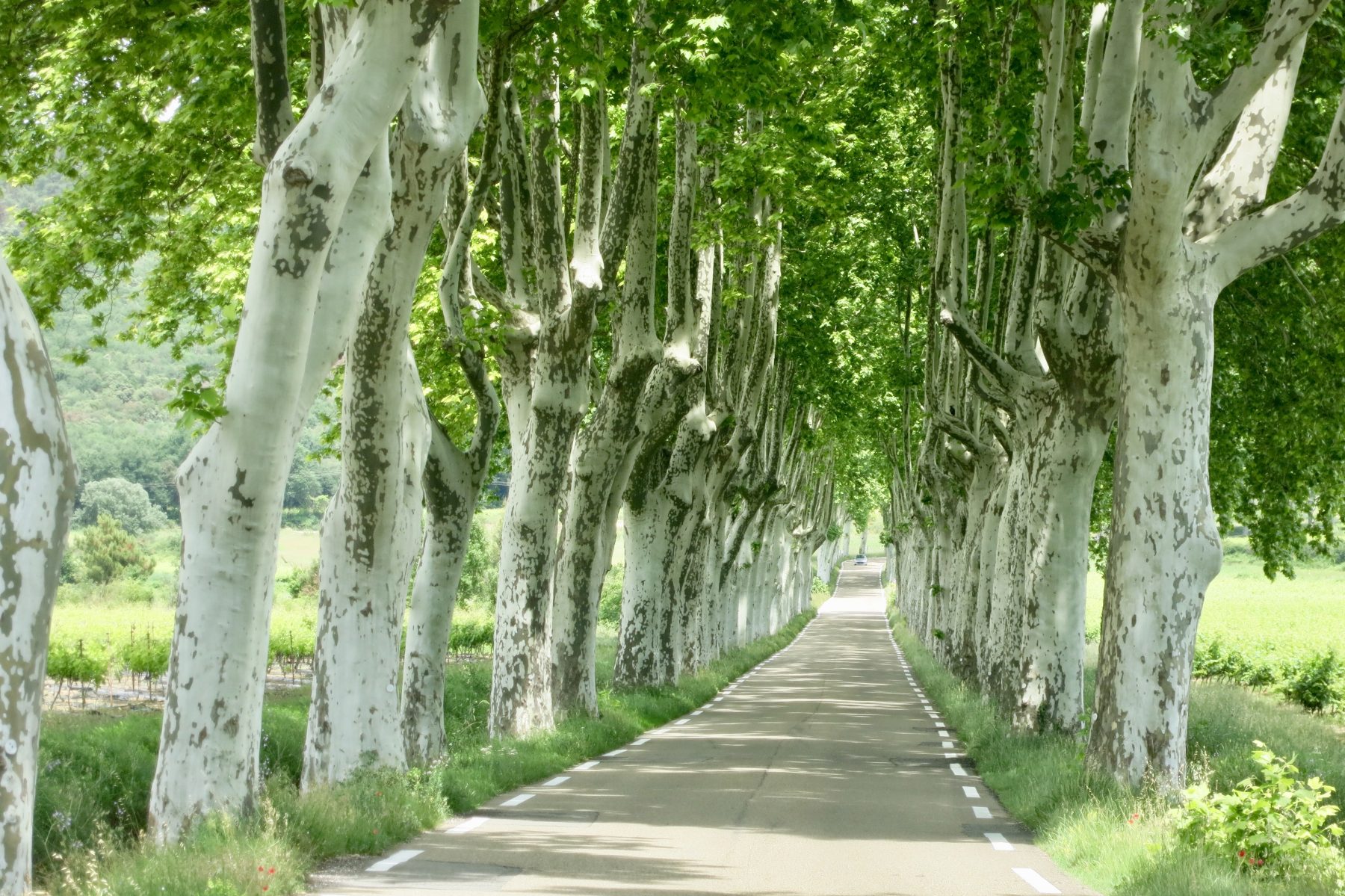Historic Gascony Road Trips