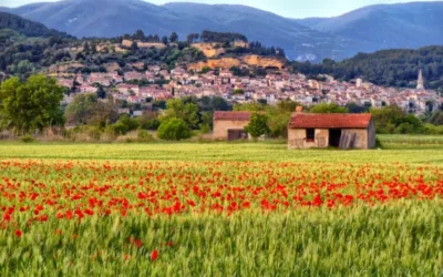 10 Beautiful Vaucluse Villages
