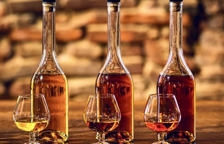 Armagnac Tour Guide France