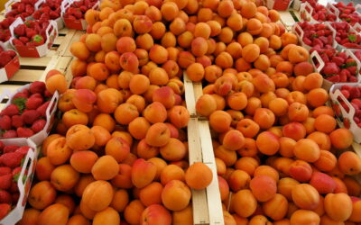 Markets of Provence