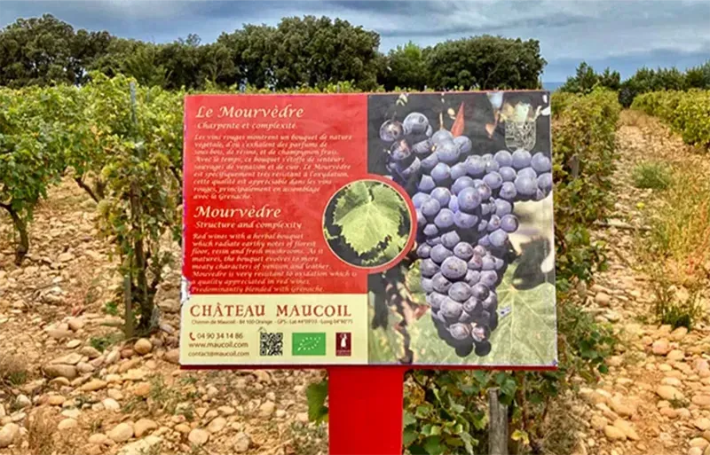 Châteauneuf-du-Pape Guided tours provence France