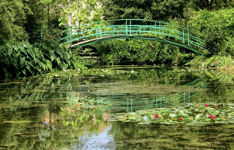Latour-Marliac water lily gardens Dordogne guided tour 2027